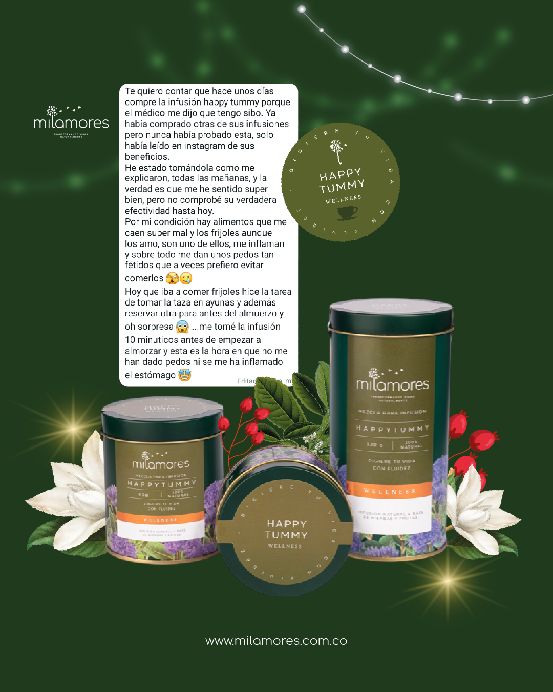 Caja de sachets Detox