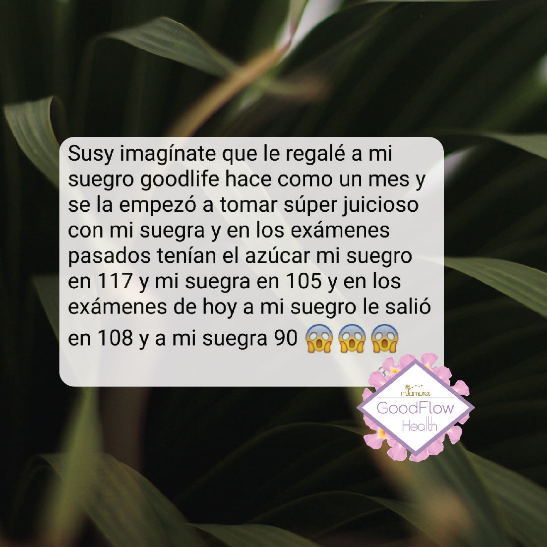 Caja de sachets Detox