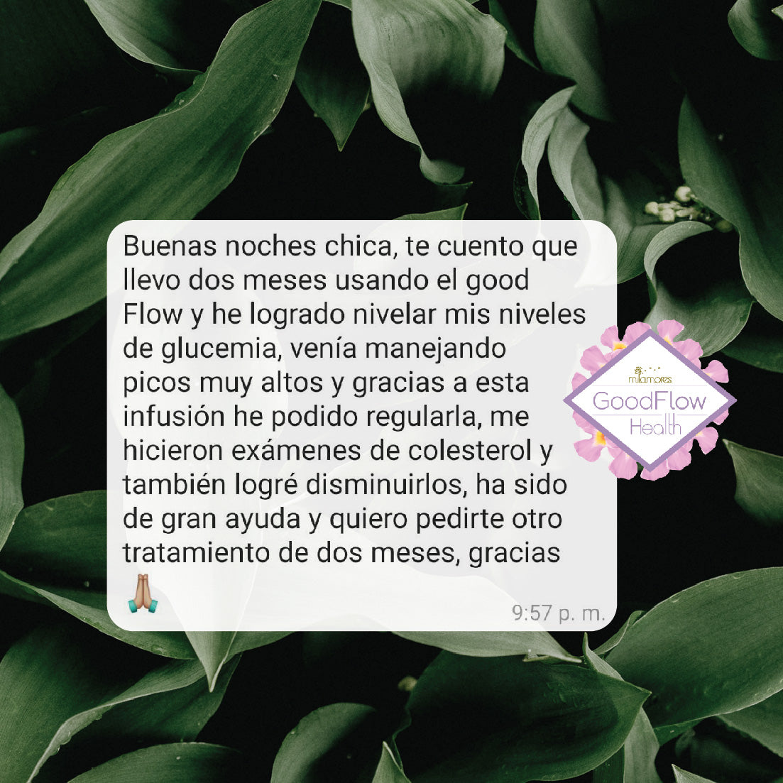 Caja de sachets Detox