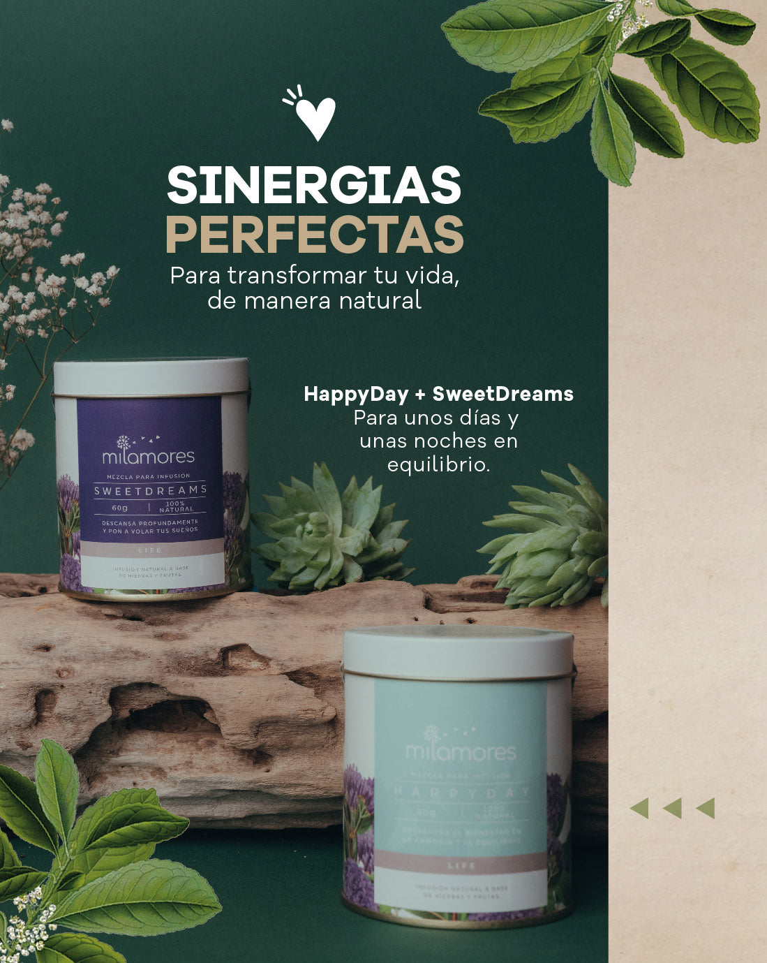 Caja Sachets Balance Total