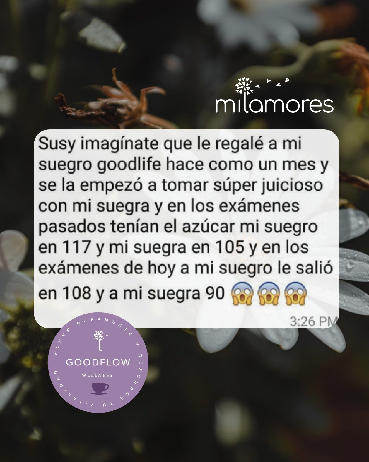 Caja de sachets Detox