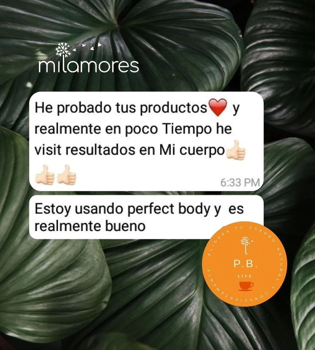 Reto PerfectBody