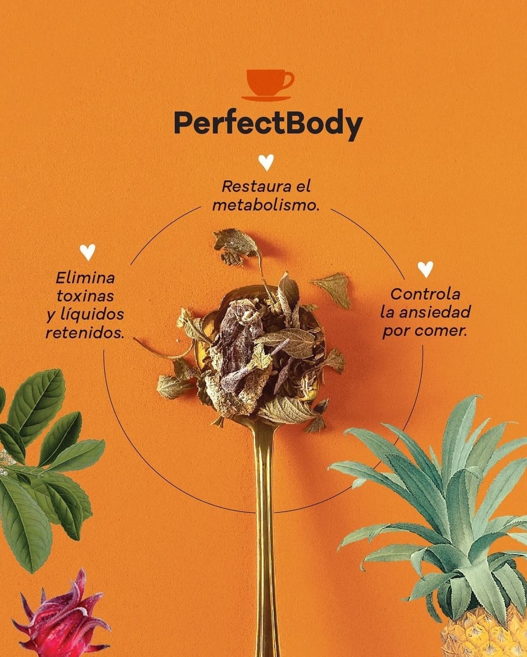 Perfectbody_infusion_f10e56f2-91c7-4034-b72f-1b5a1cc9ce83.jpg