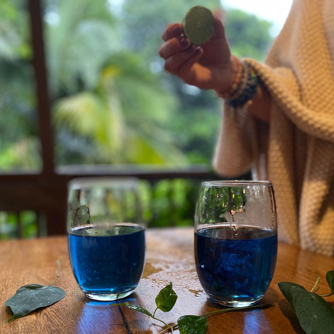Preparacion_Butterflypea.jpg