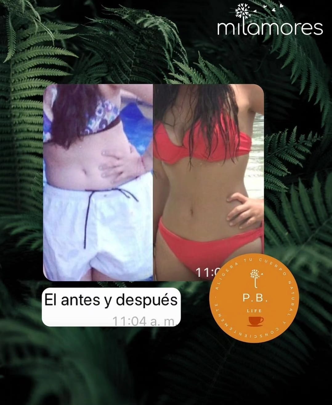 Reto PerfectBody