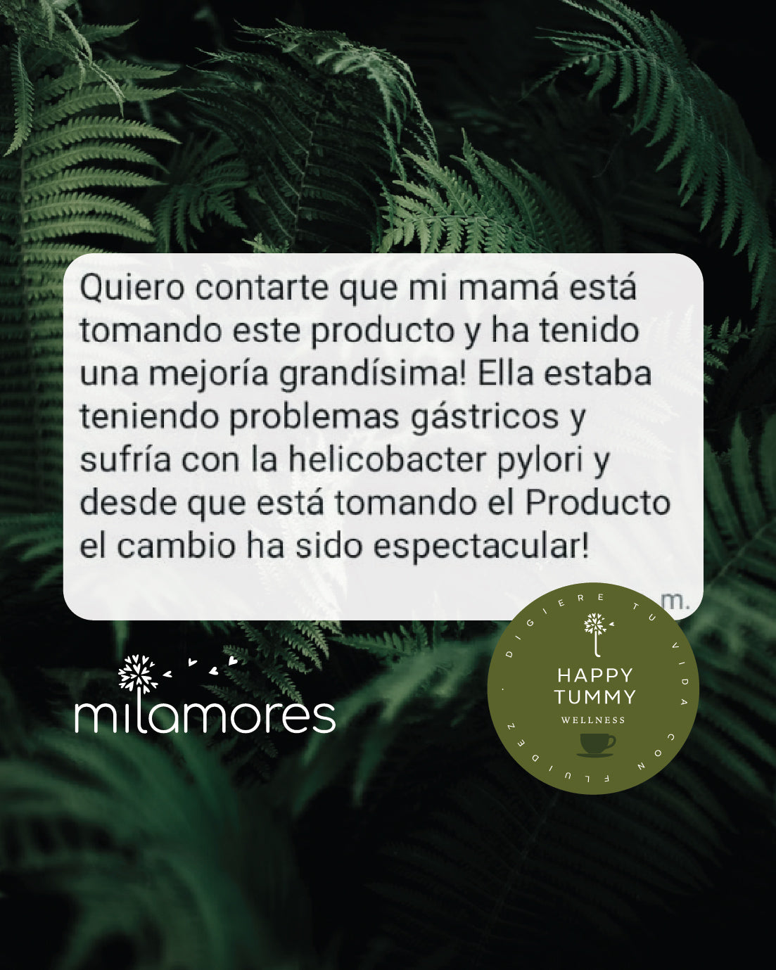 Caja de sachets Detox