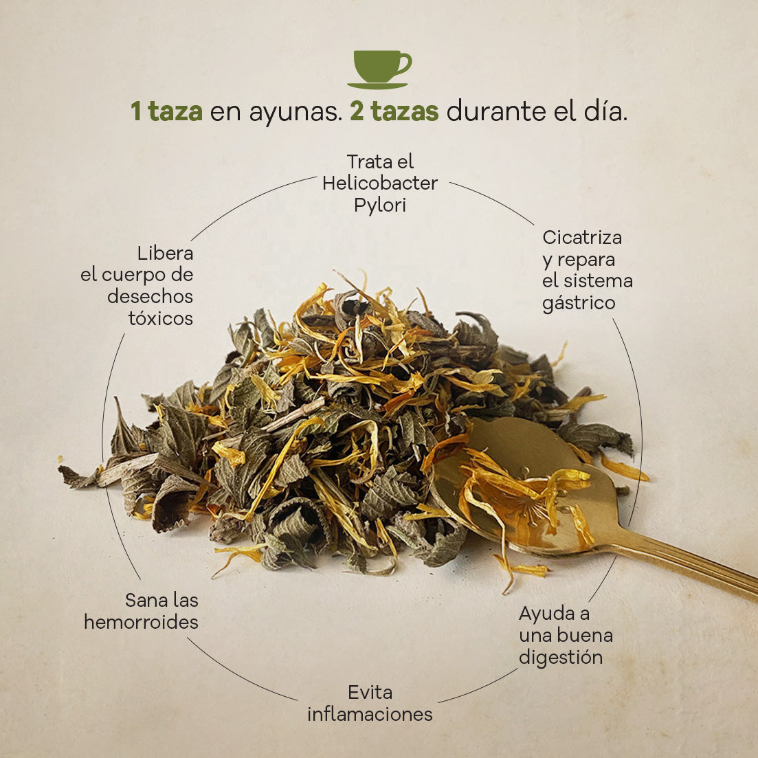 Tratamiento_gastrico_251e3734-ab0e-4aa2-8c3d-7daaff46baad.jpg