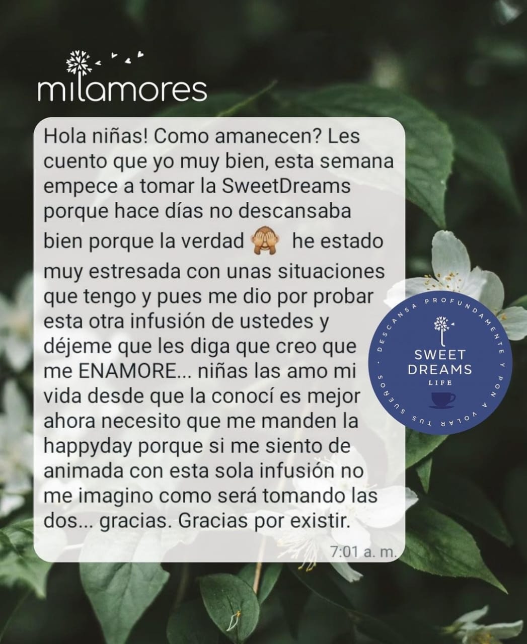 Caja Sachets Balance Total