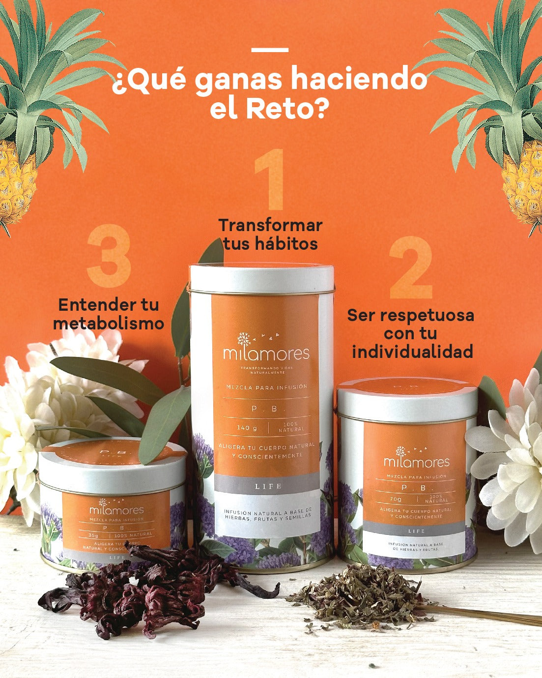 infusionesdelreto.jpg