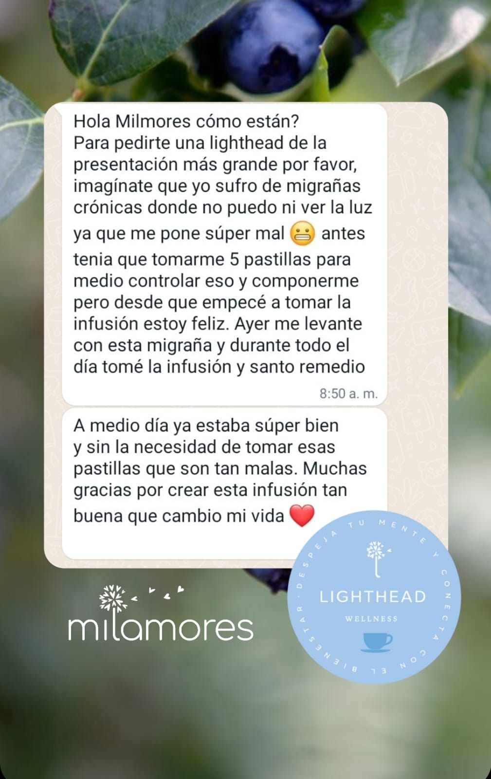 LightHead