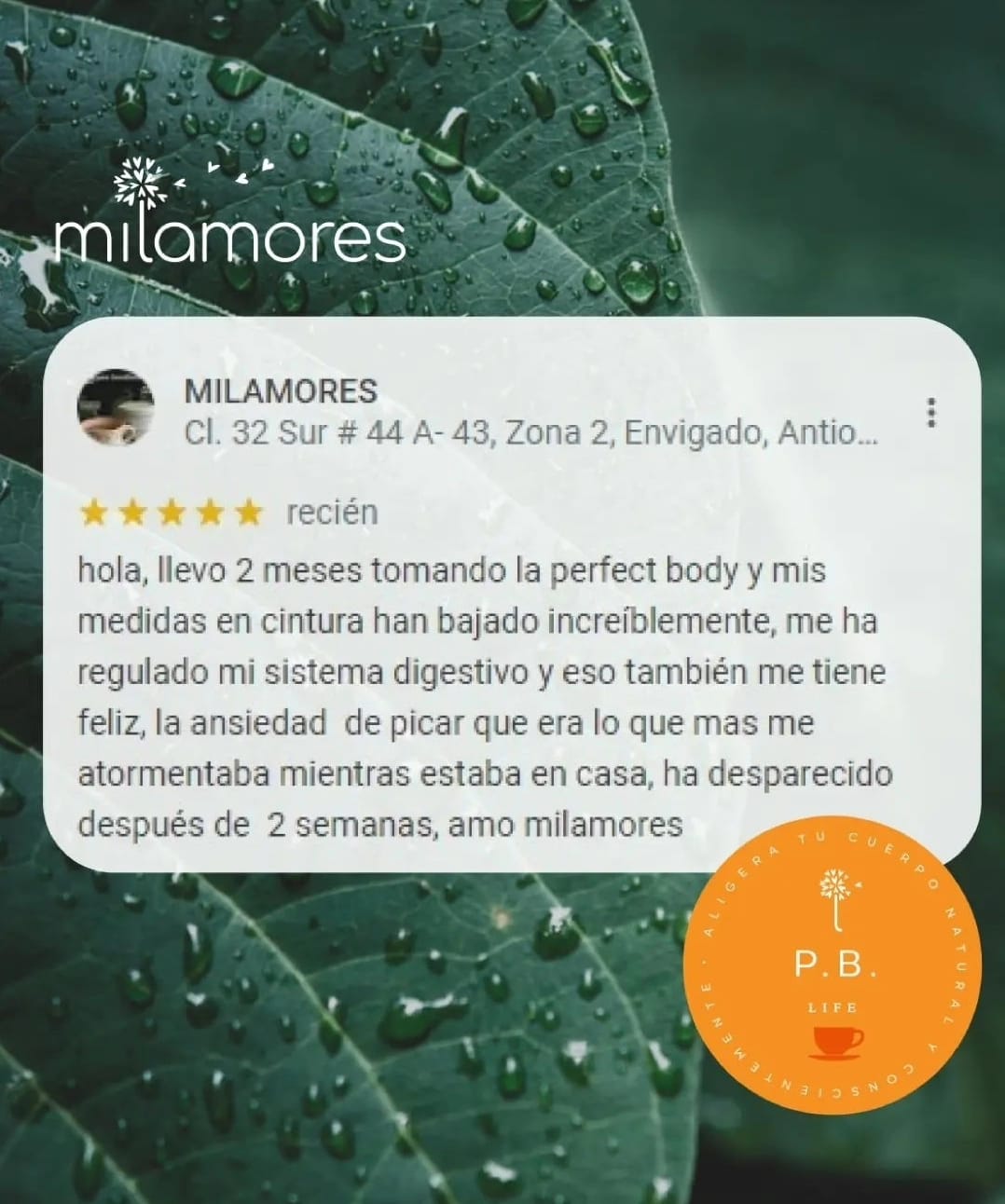 Reto PerfectBody