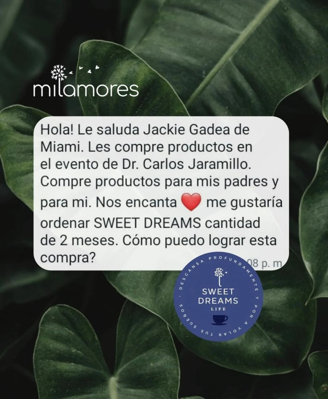 Especial de la infusión SweetDreams