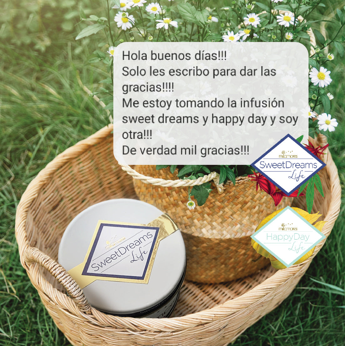como dormir mejor sweetdreams
