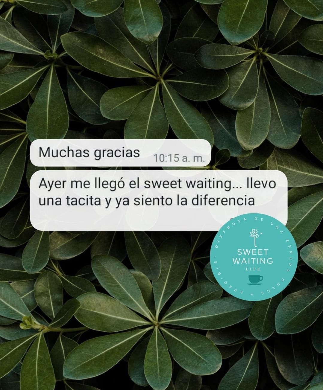 Sweetwaiting testimonio
