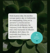 Testimonio infusion sweetwaiting de milamores