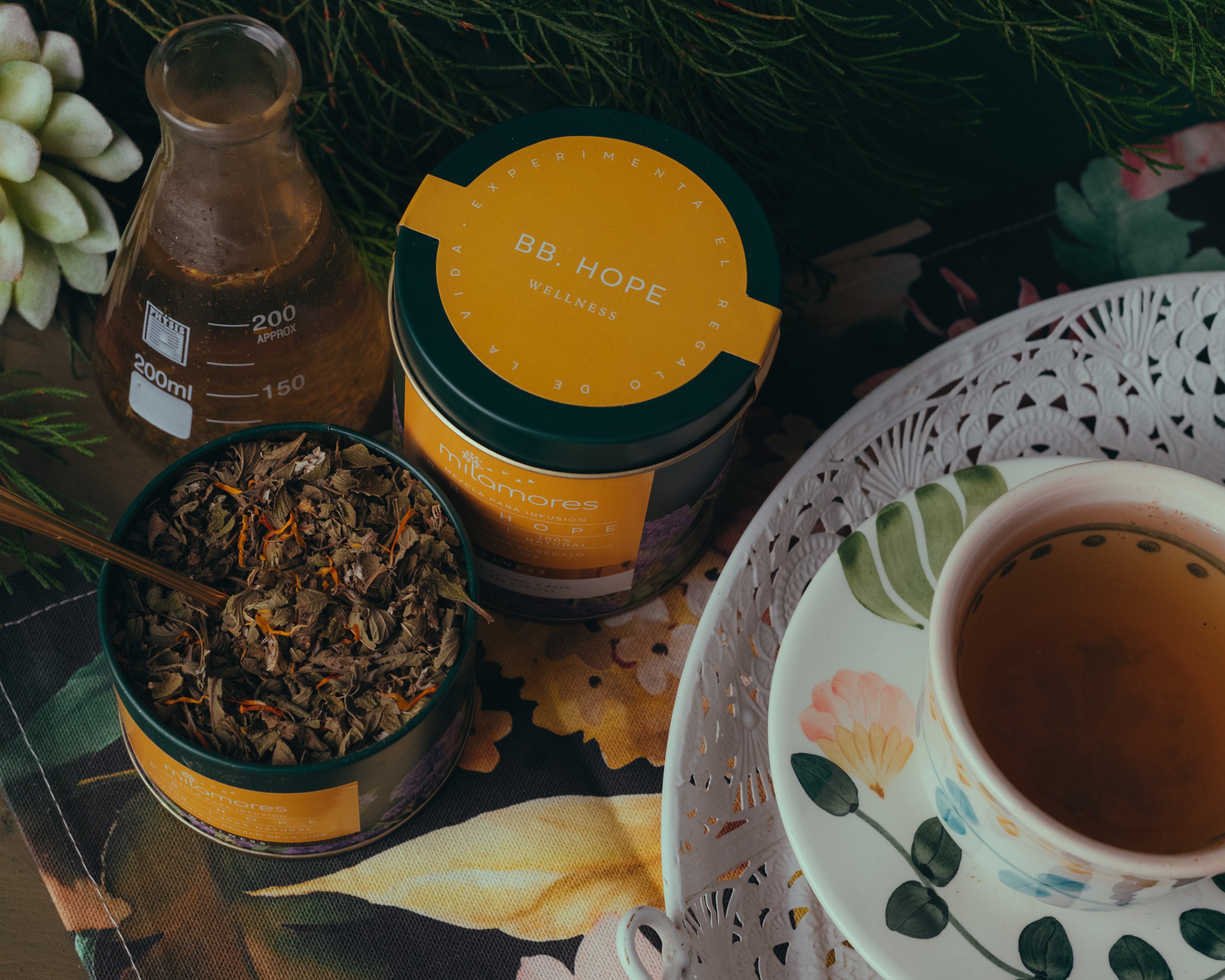 Cinco diferencias entre la infusión BabyHope y MoonDays