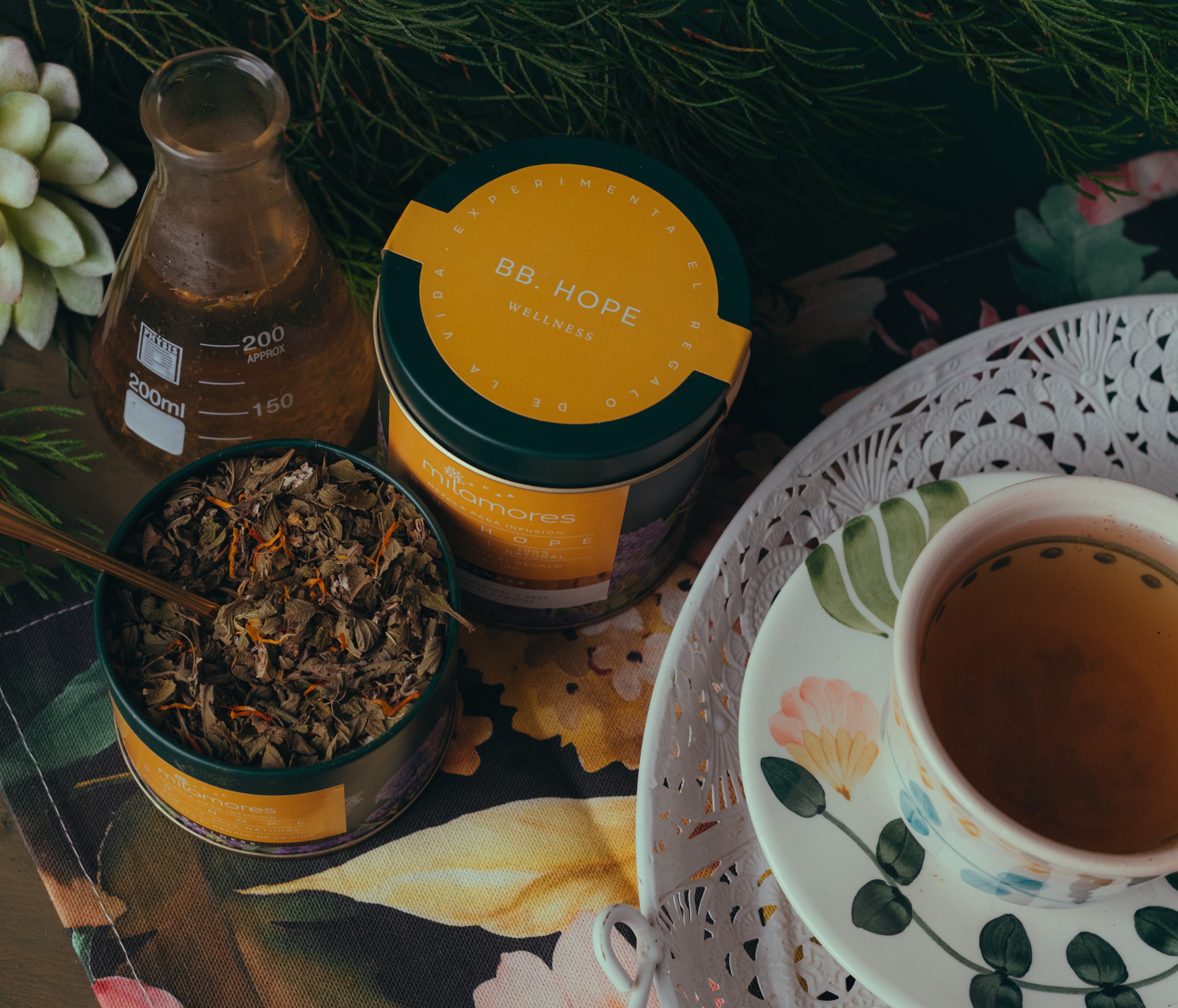 Cinco diferencias entre la infusión BabyHope y MoonDays