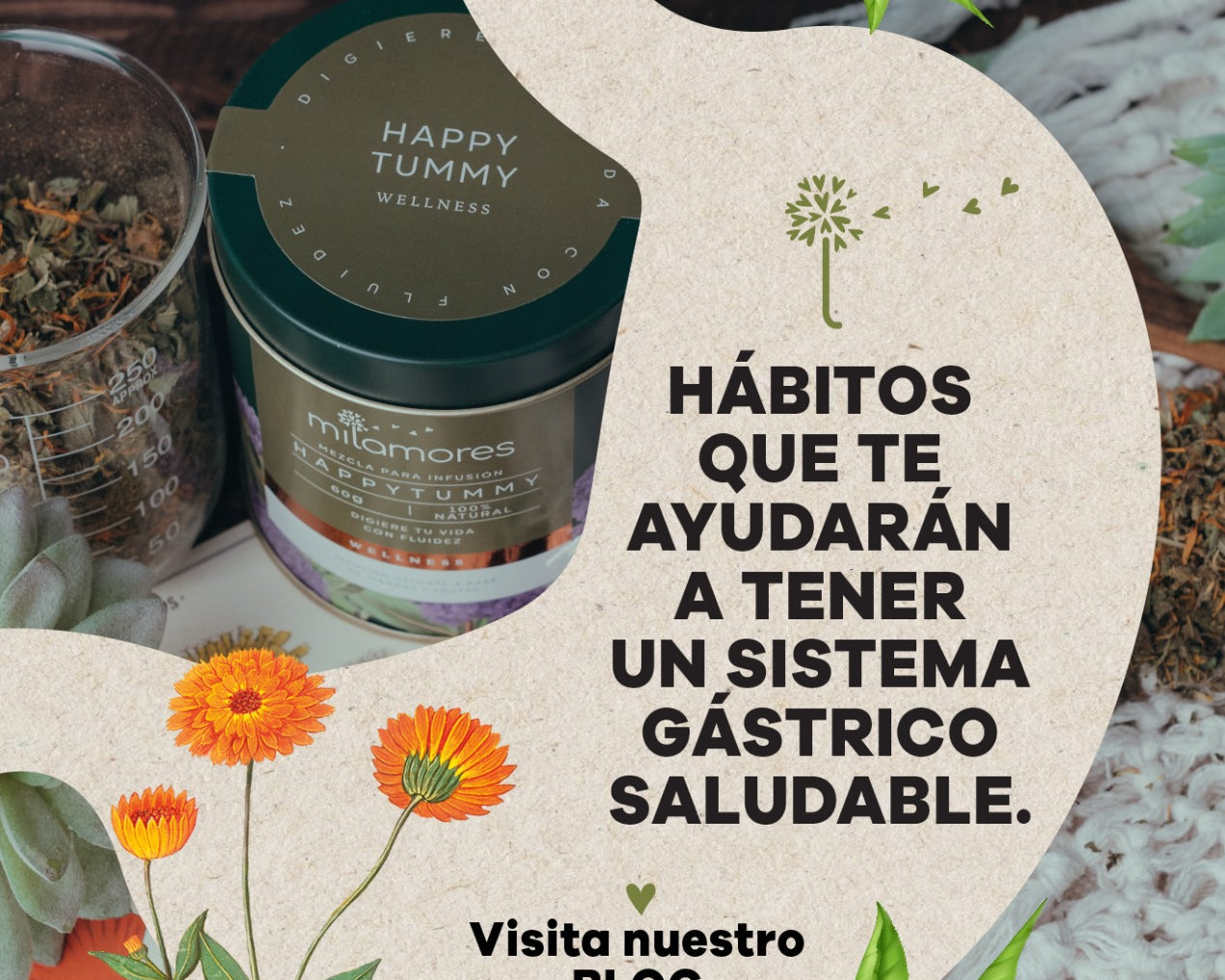 Hábitos que ayudan a tener un sistema gástrico más saludable