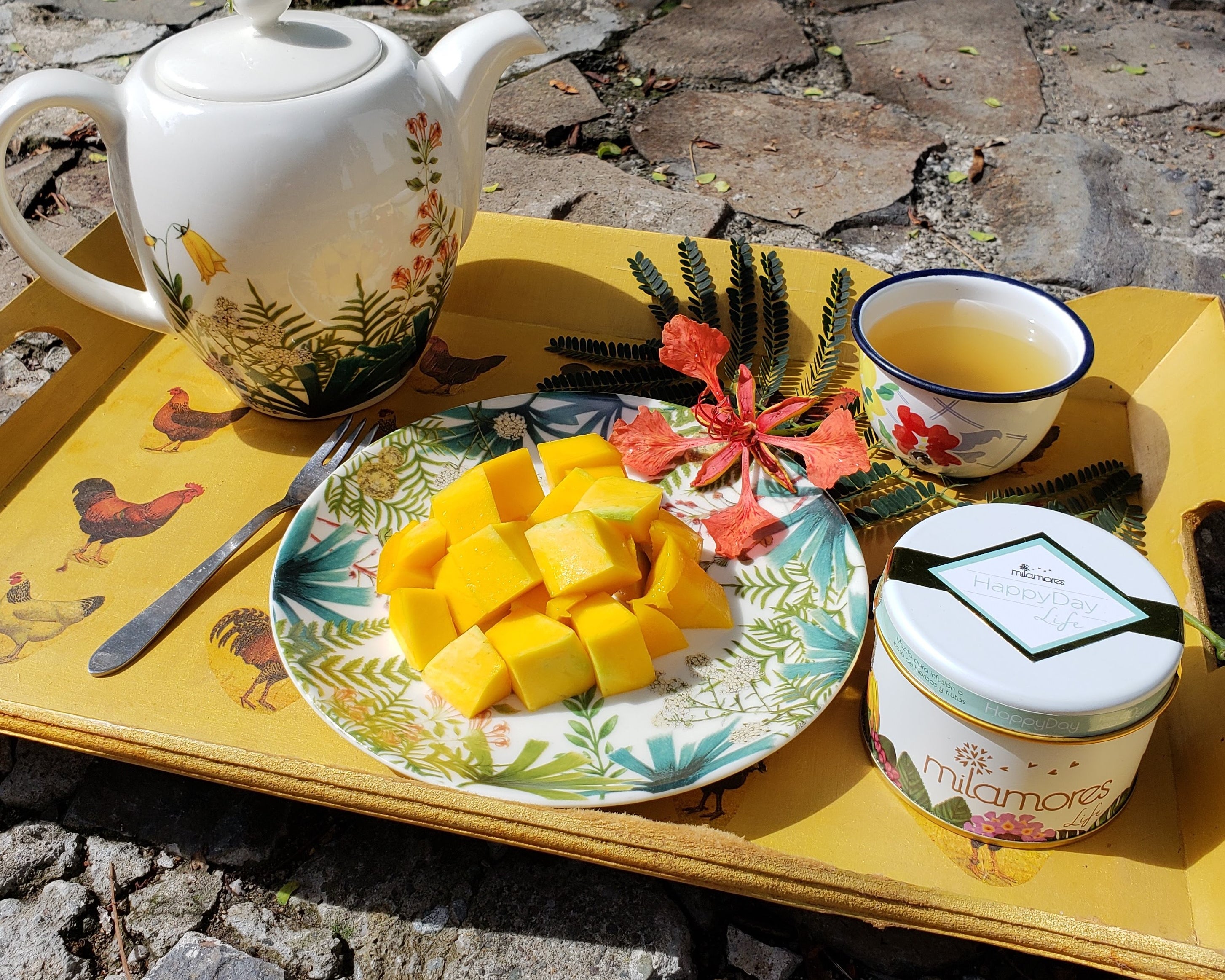 La importancia de una buena alimentación durante un tratamiento de cáncer