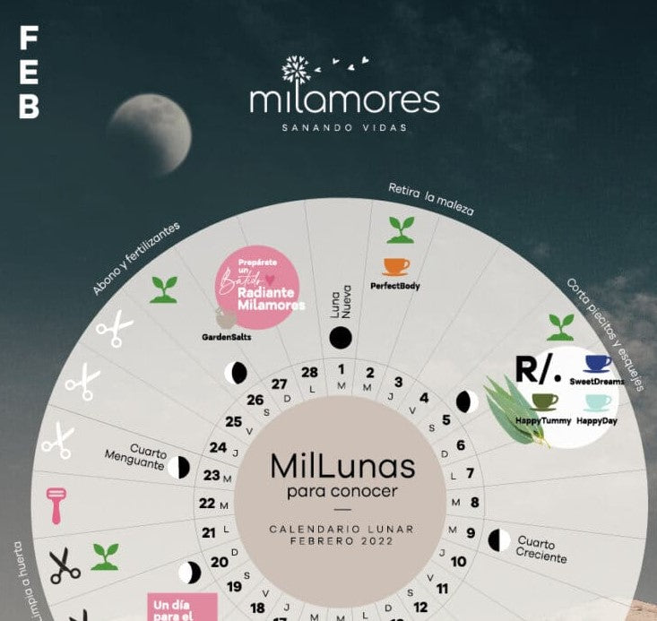 Calendario MilLunas para conocer con Milamores. Febrero 2022