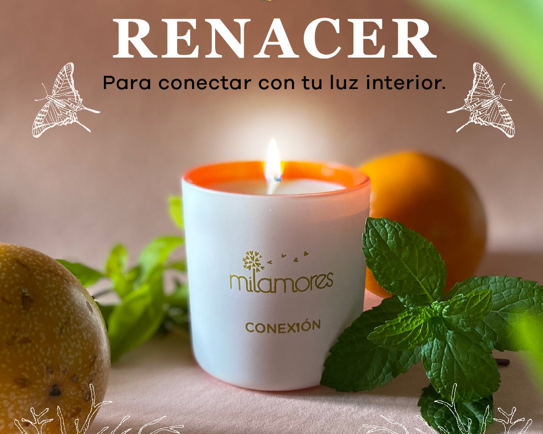 Renacer, un taller que cambio mi vida