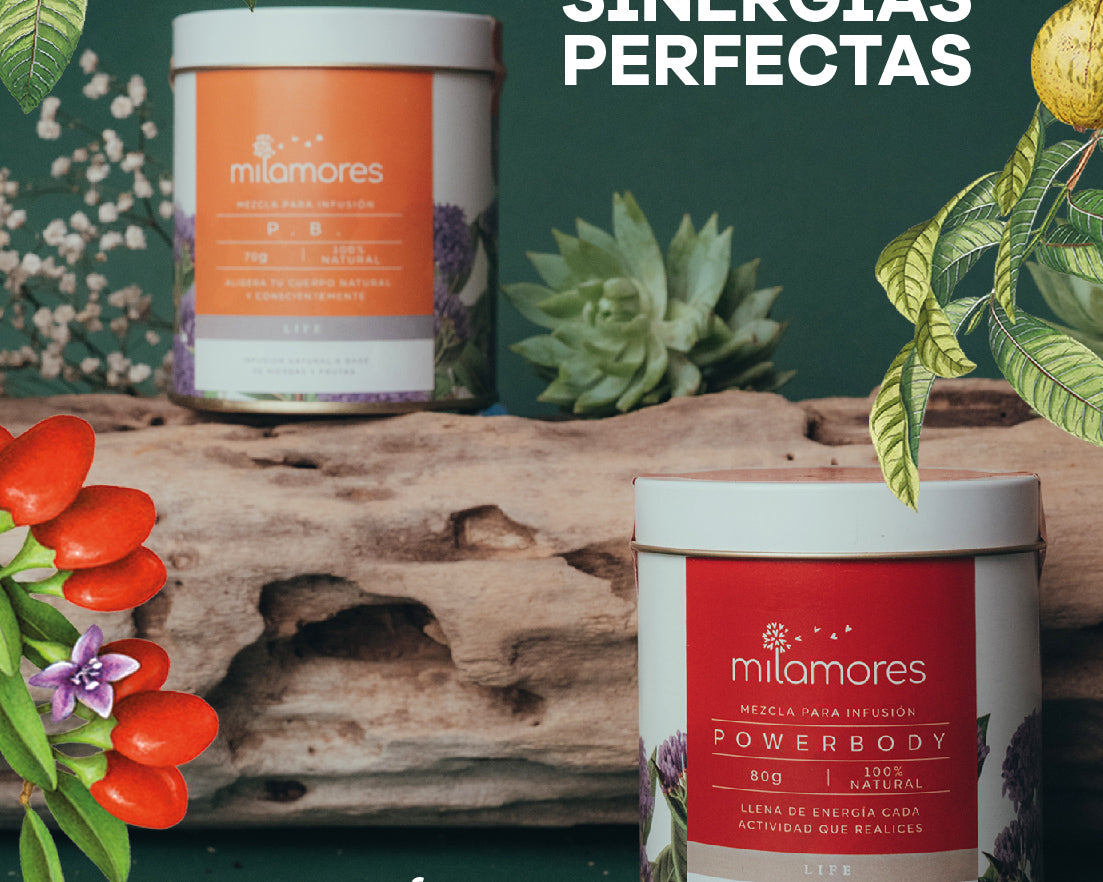 Sinergias Perfectas Milamores