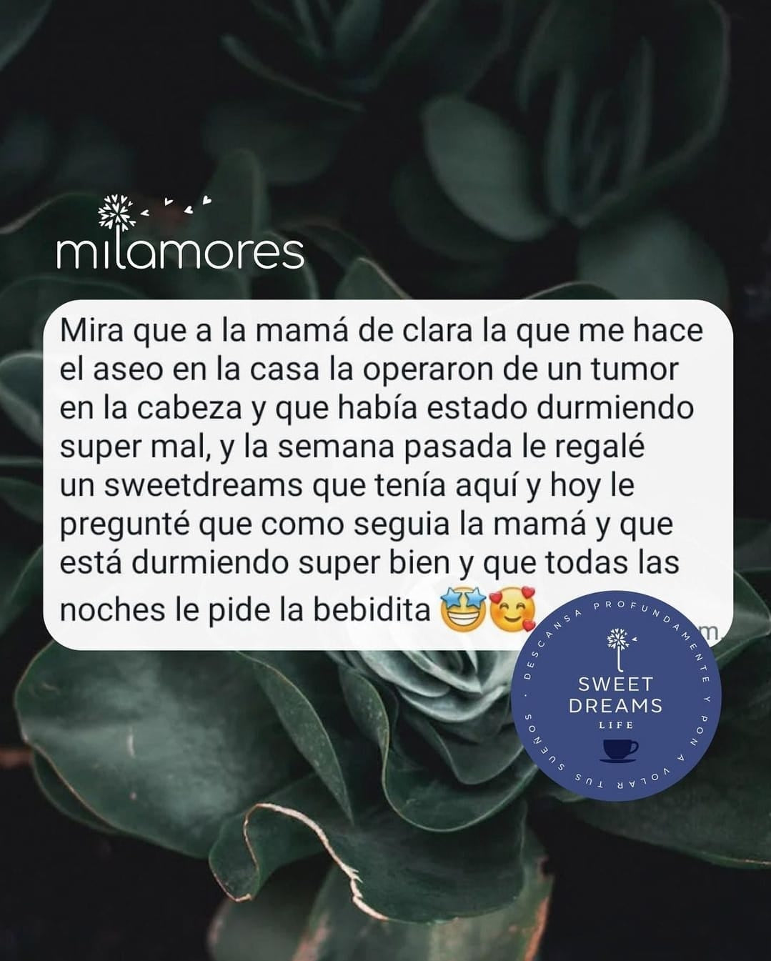 Las 5 fases del sueño