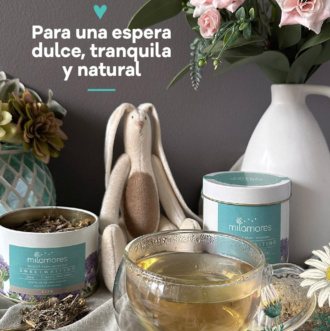 Estados del embarazo se vive mejor con la SweetWaiting