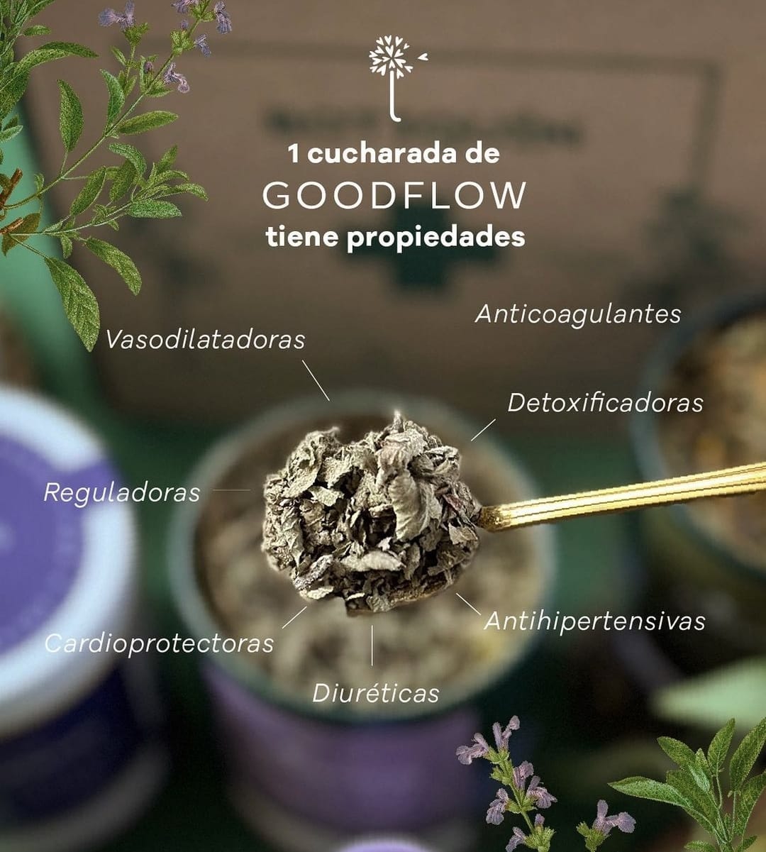 Como manejar el colesterol y  los triglicéridos altos