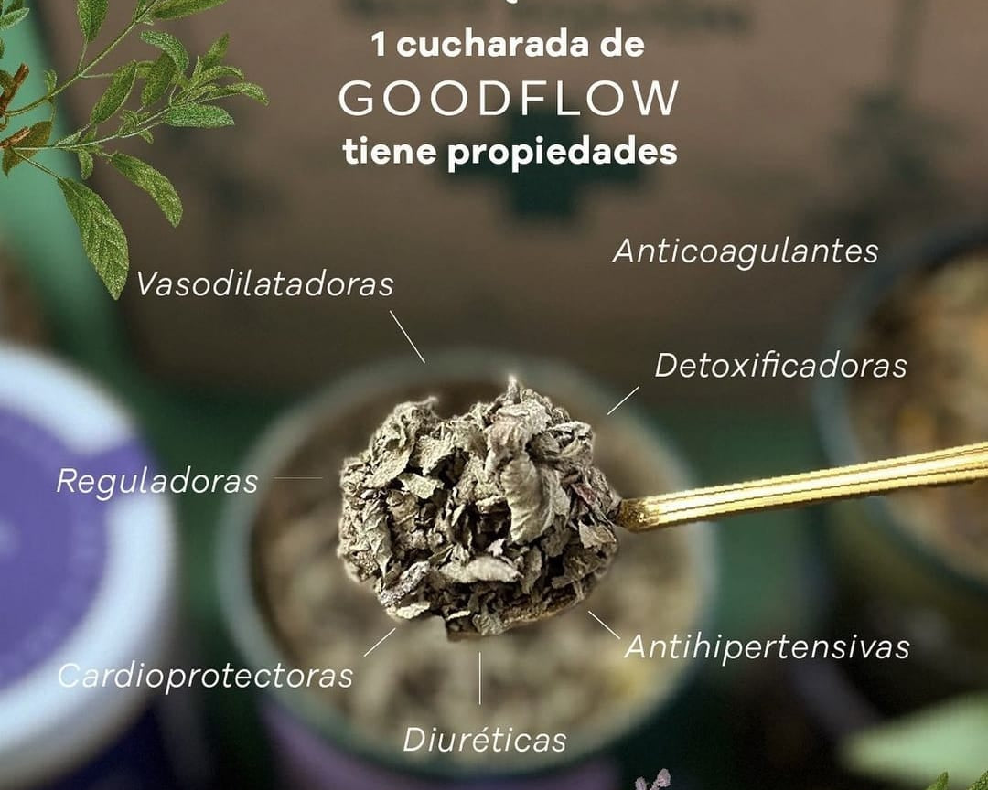 Como manejar el colesterol y  los triglicéridos altos