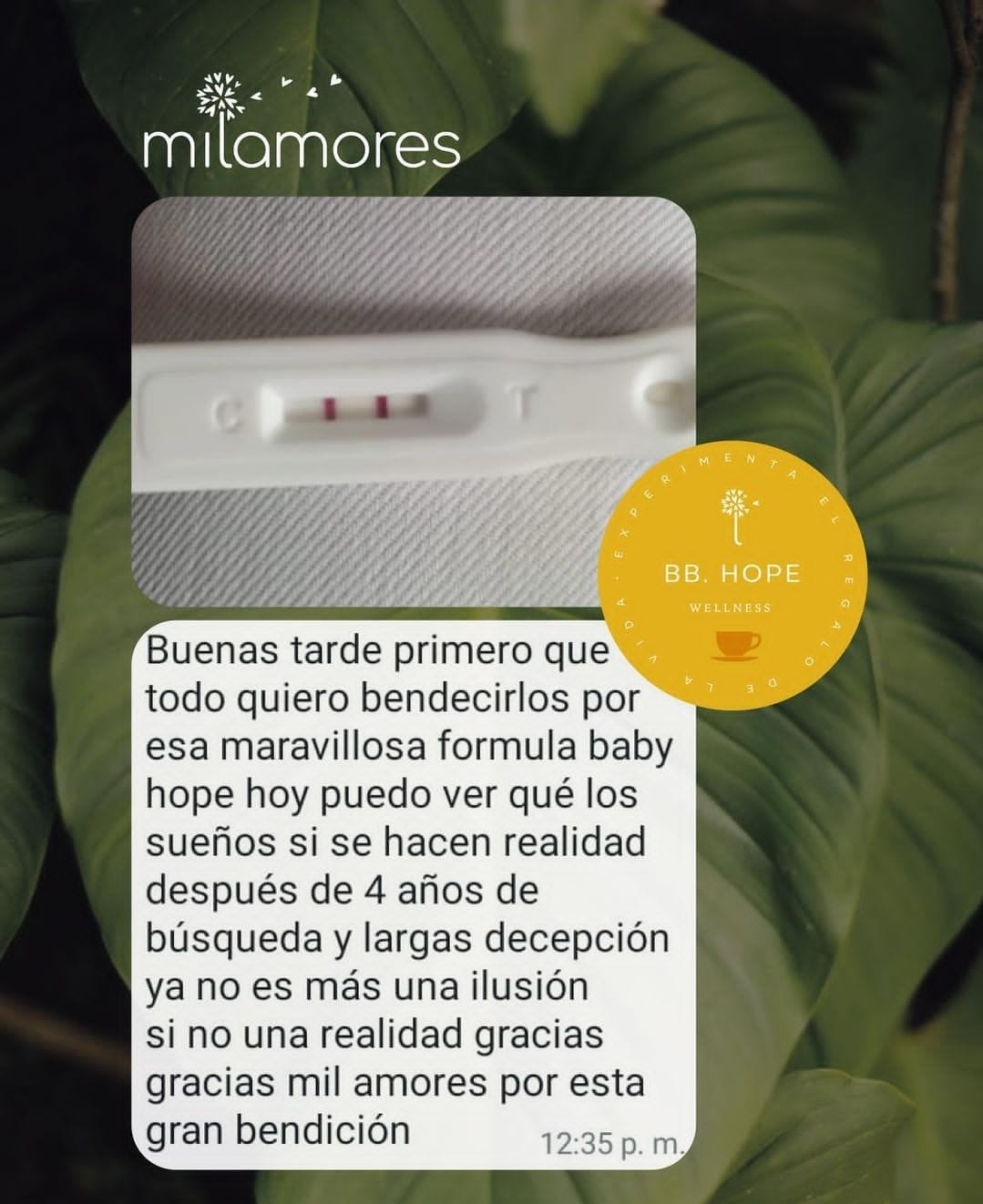 Caja de sachets Pre-Embarazo