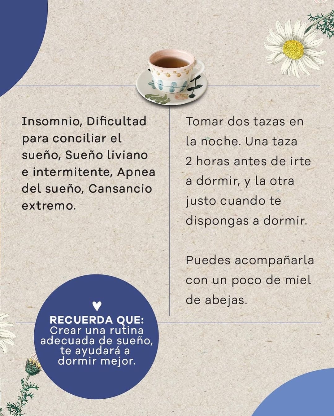 Caja Sachets Balance Total