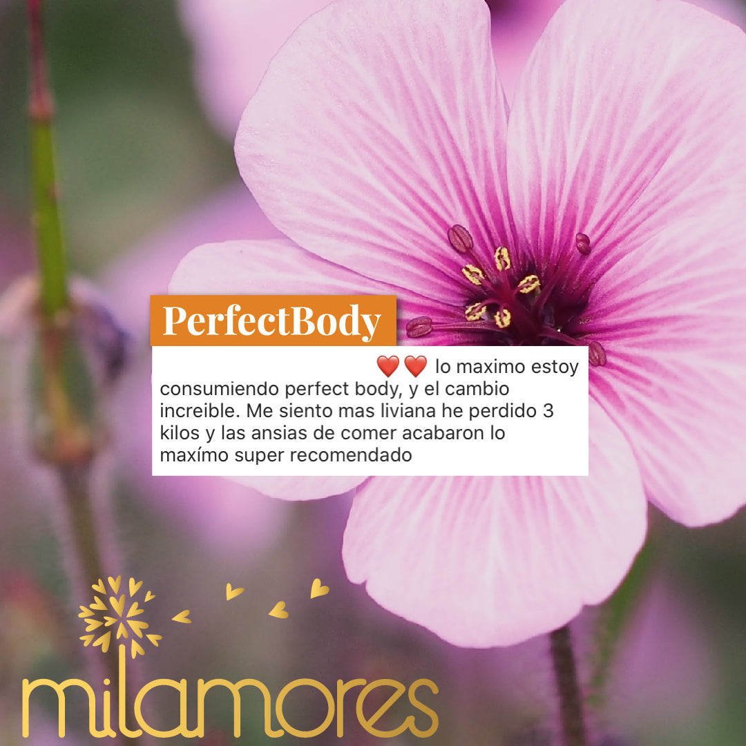 Caja de sachets Pre-Embarazo