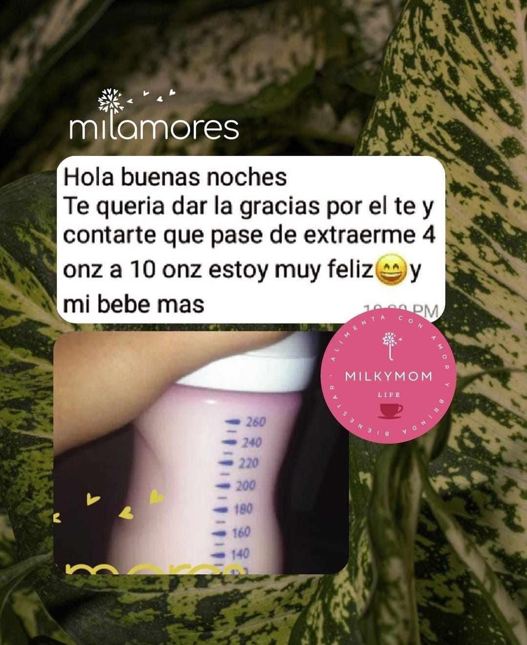 Testimonio_milkymon_20e01bb0-5809-4844-82dd-3f75c870913d.jpg
