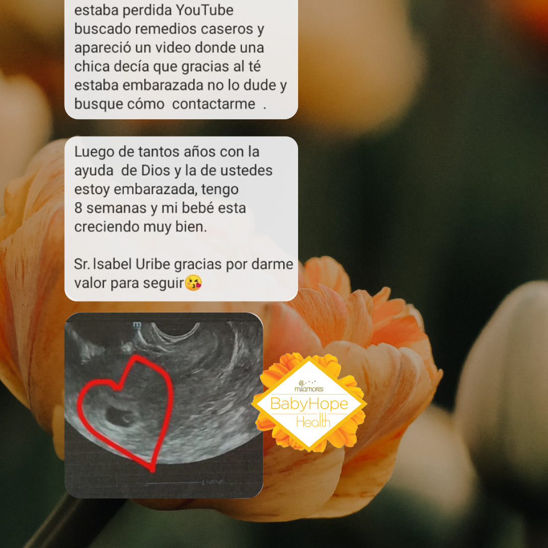 Caja de sachets Pre-Embarazo