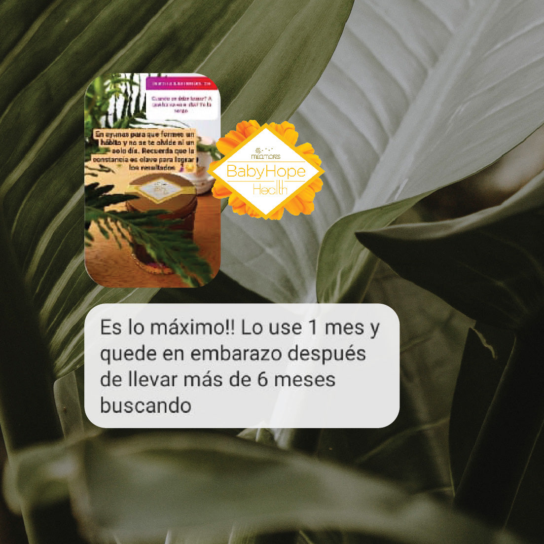 Caja de sachets Pre-Embarazo