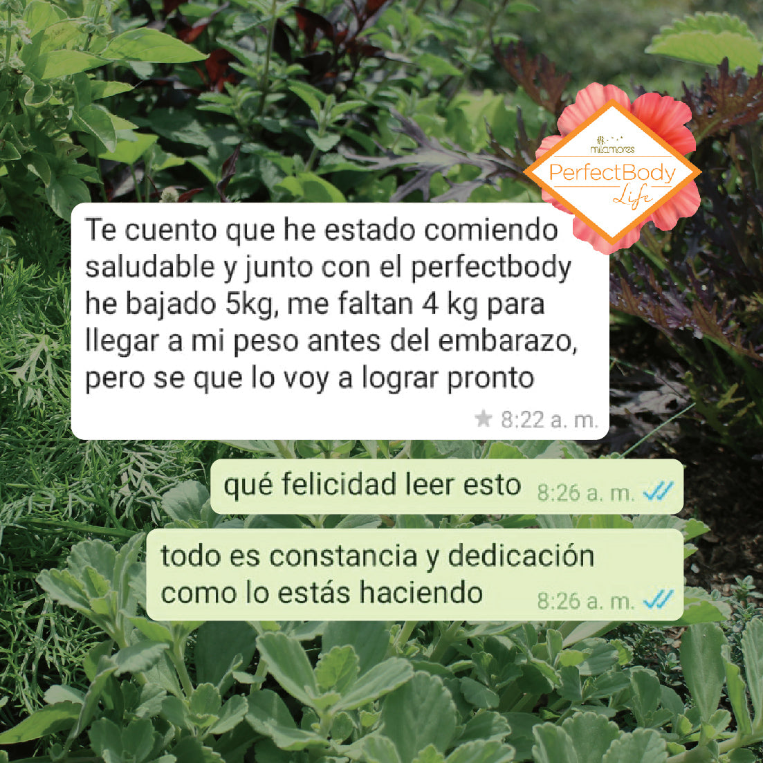 Caja de sachets Pre-Embarazo