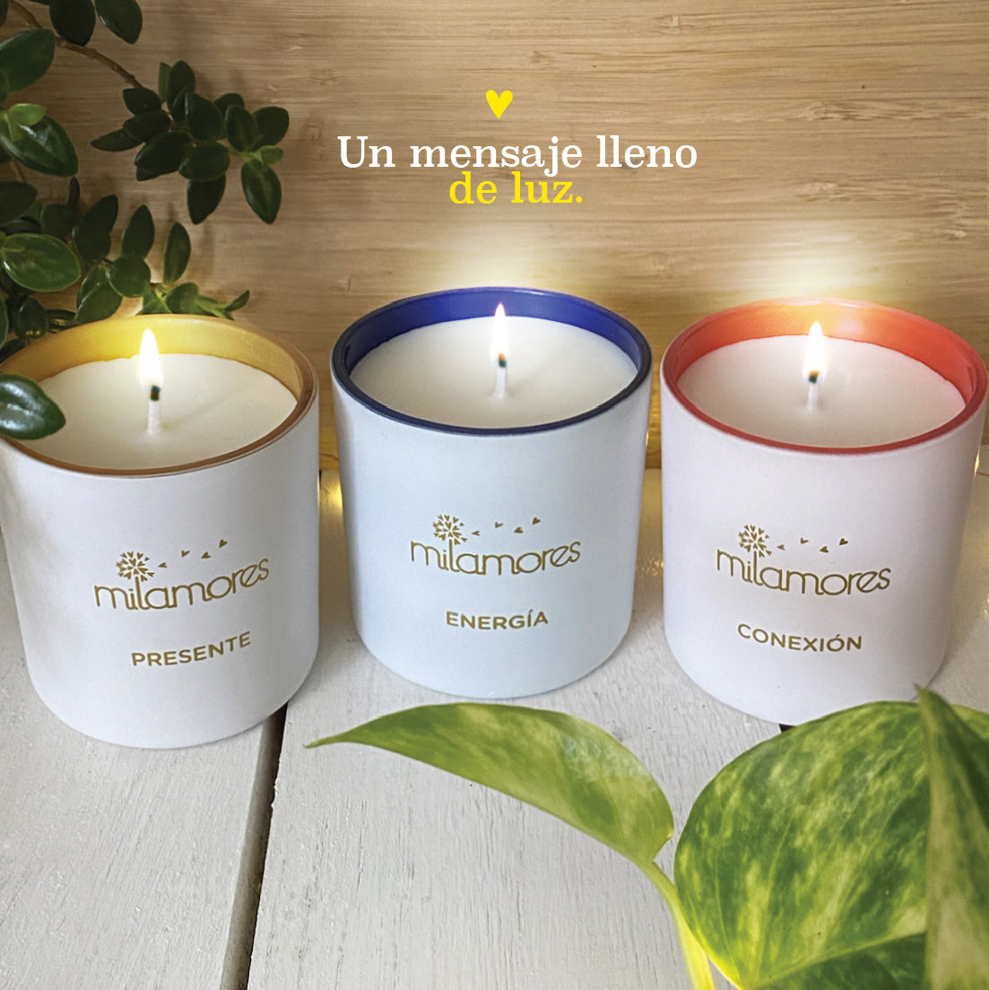 velas milamores con proposito