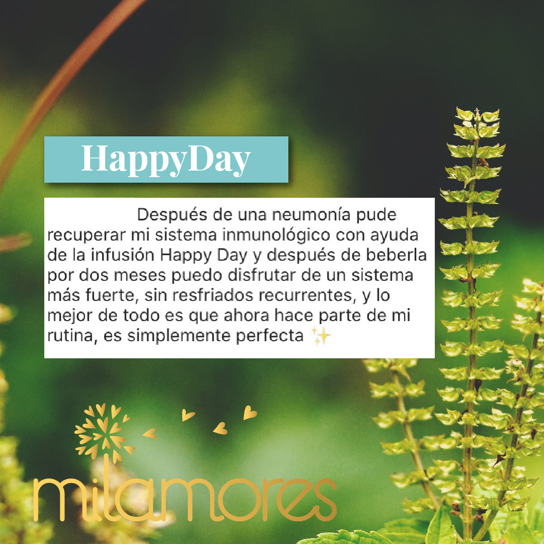 Energia-HappyDay-Milamores-Colombia