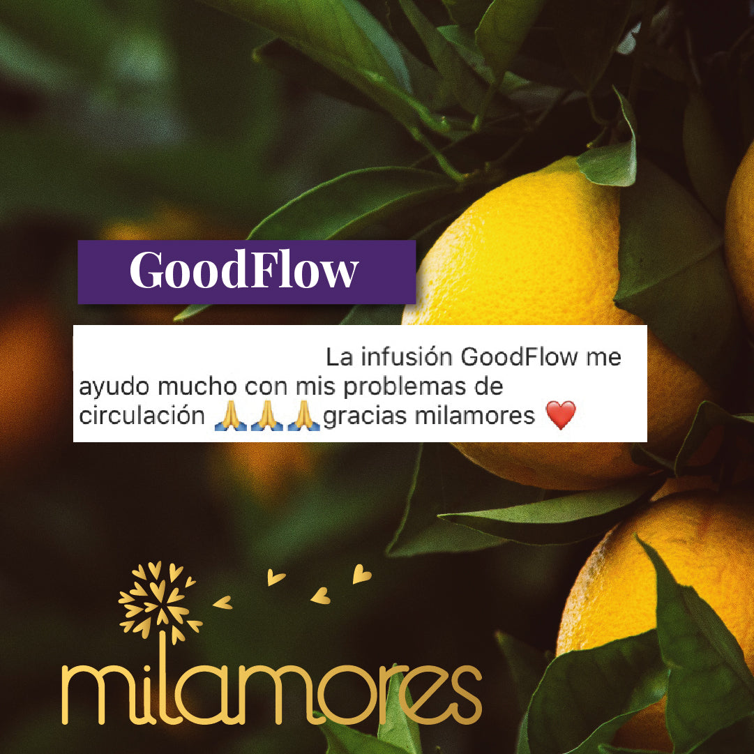 GoodFlow-Milamores-Colombia-Problemasdecirculacion
