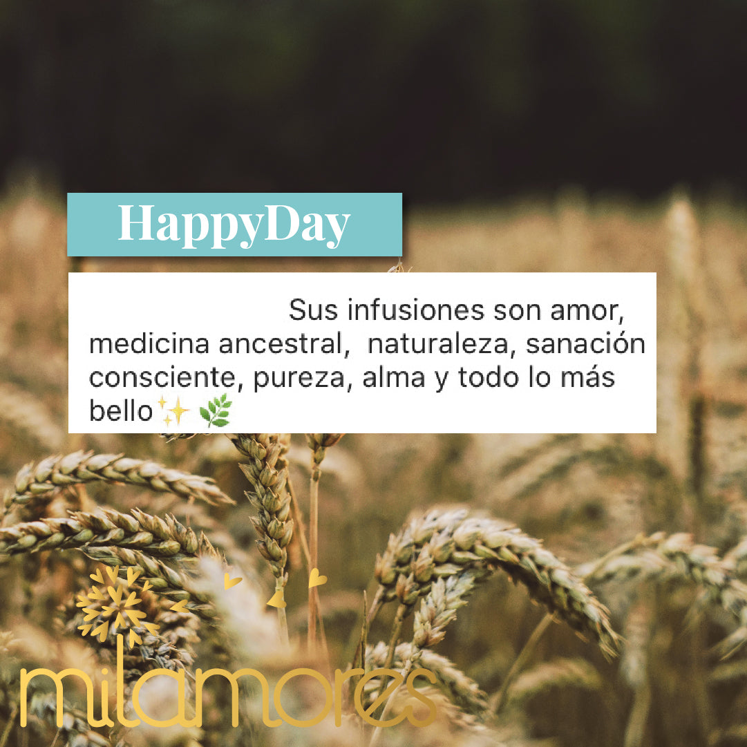 HappyDay-Energia-Milamores-Colombia