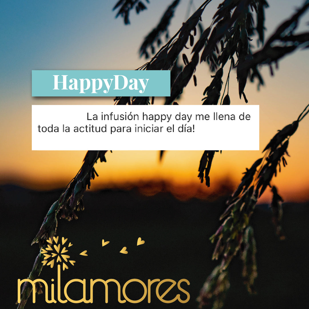 HappyDay-Milamores-Colombia