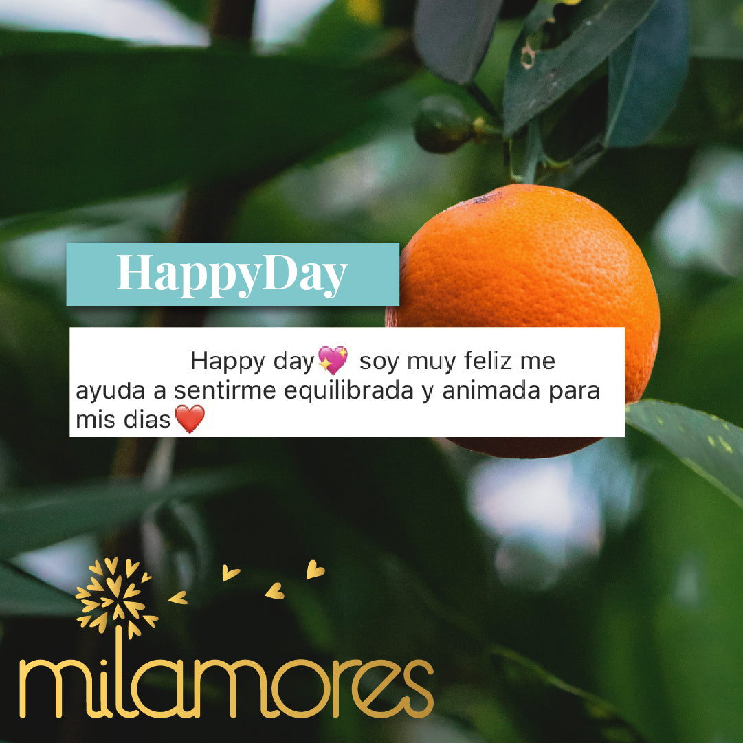 HappyDay-Milamores-Colombia-Concentracion
