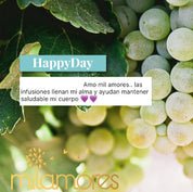 HappyDay-Milamores-Colombia-Energia