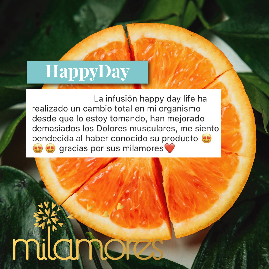 HappyDay-Milamores-Energia