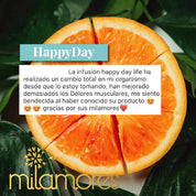HappyDay-Milamores-Energia