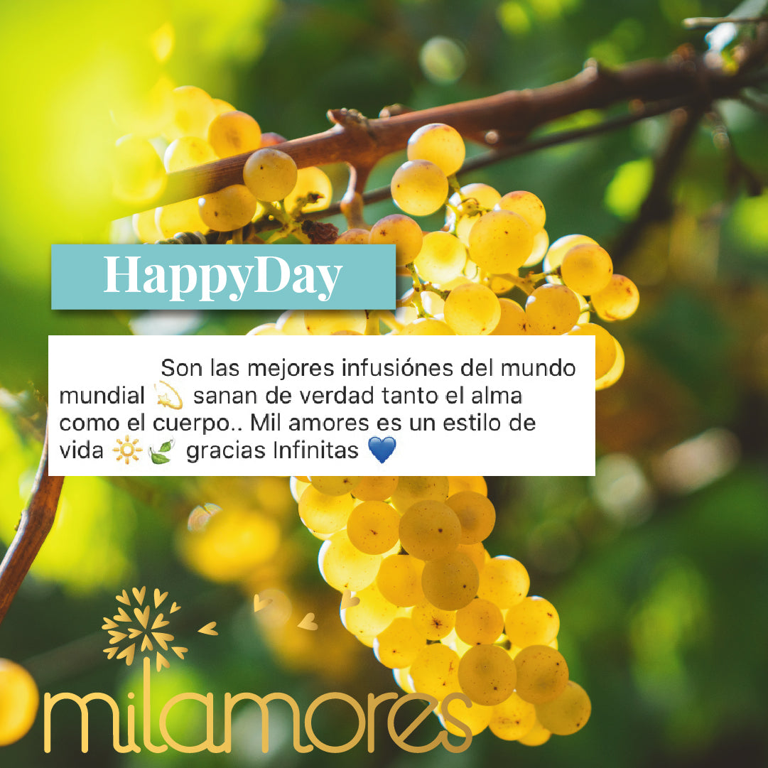 HappyDay-Milamores-Energia-