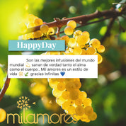 HappyDay-Milamores-Energia-