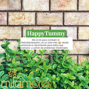 HappyTummy-Helicobacterpylori-Milamores--01-01-01
