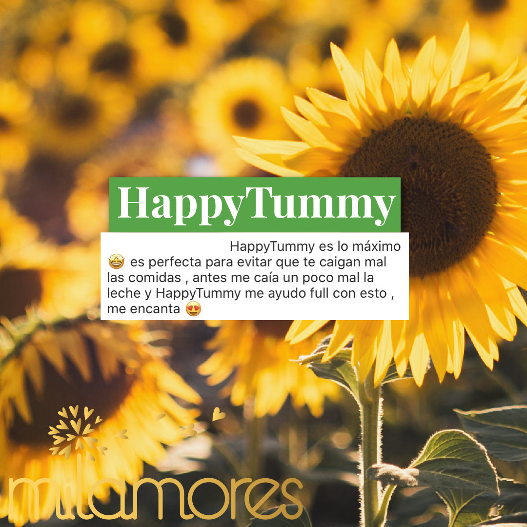 HappyTummy-Milamores-Gastritis-01